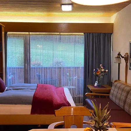 Apartment Sisi